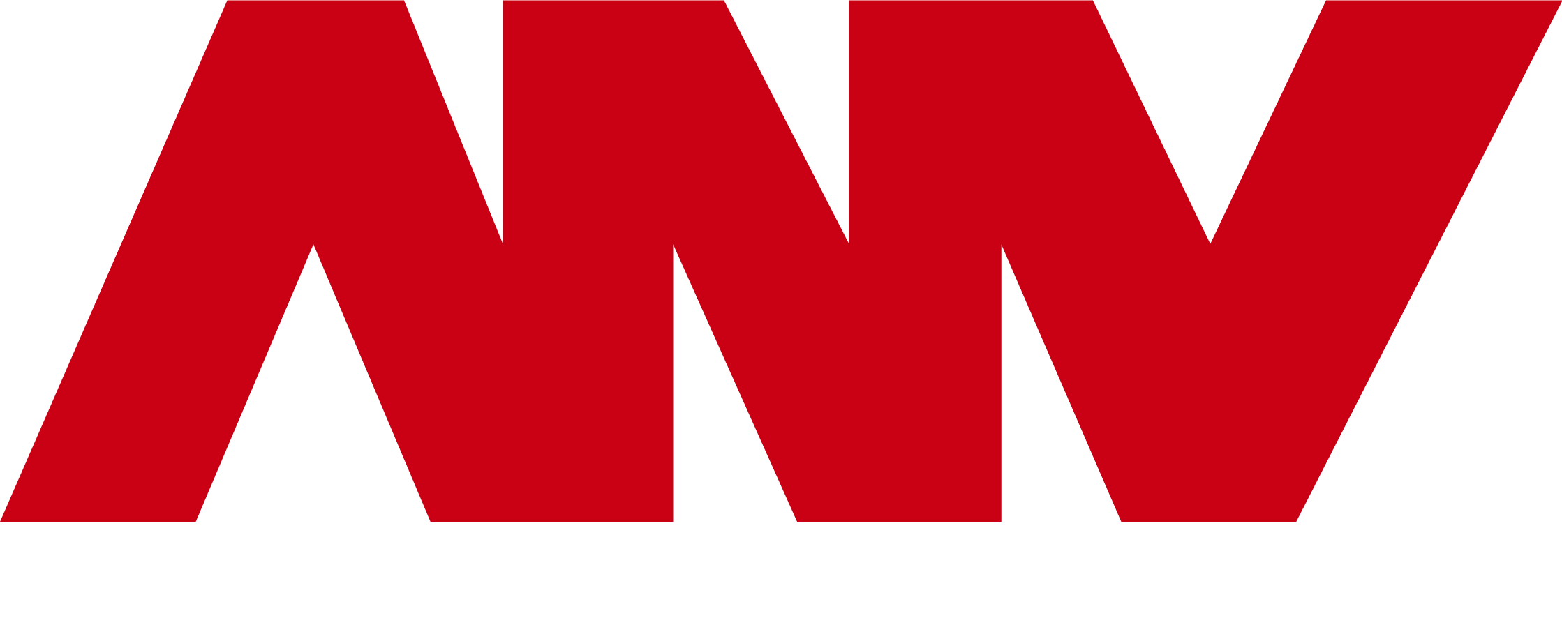 ANV_logo-white